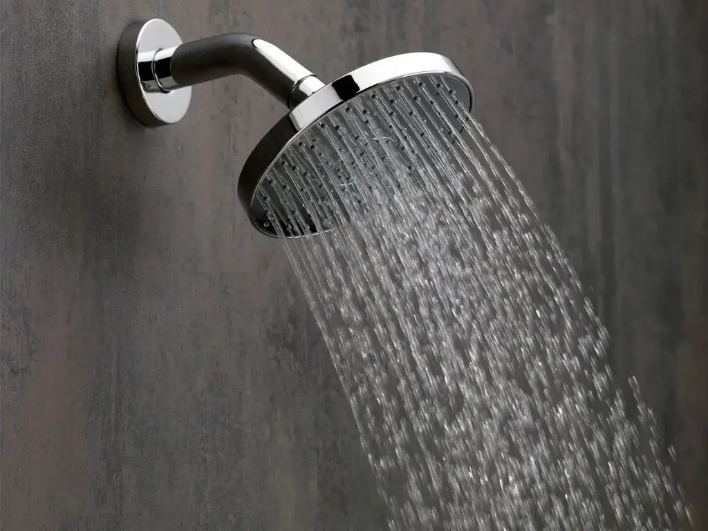 Ducha Regadera Redonda Cromada Con Brazo Fermetal