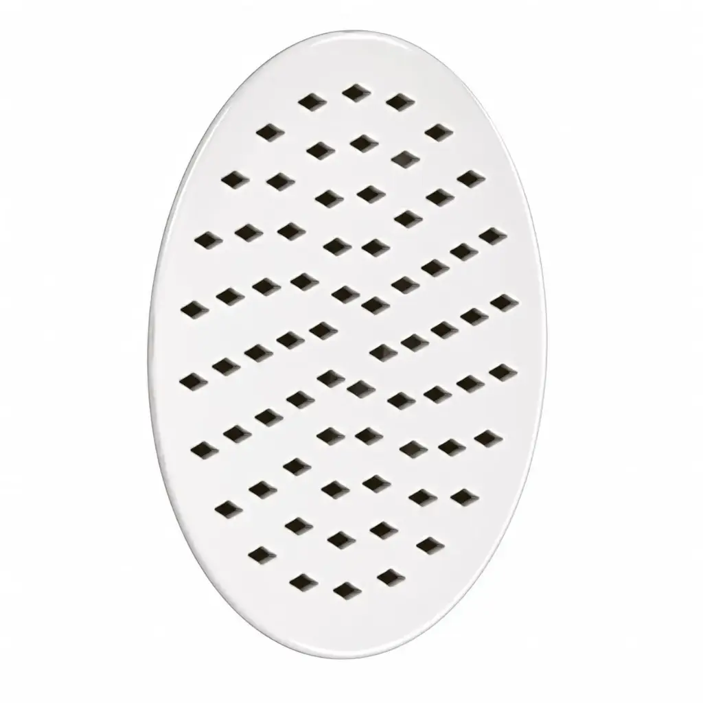 Ducha Regadera Redonda Metalica Cromo Valqua