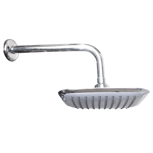 [R-007] Ducha Regadera Con Brazo Fermetal