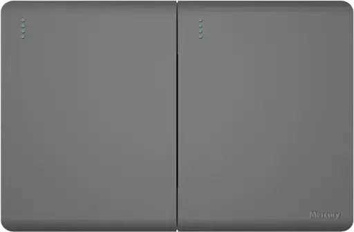 Switch 10A 127/250V Infinity Silver Mercury