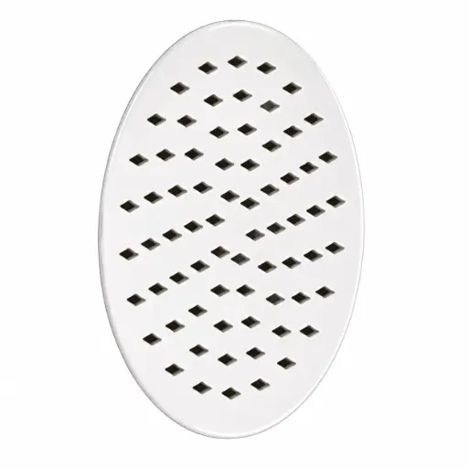Ducha Regadera Redonda Metalica Cromo Valqua