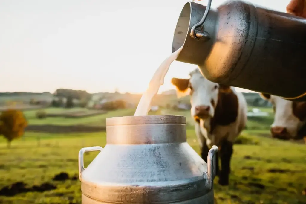 Leche Bellavista