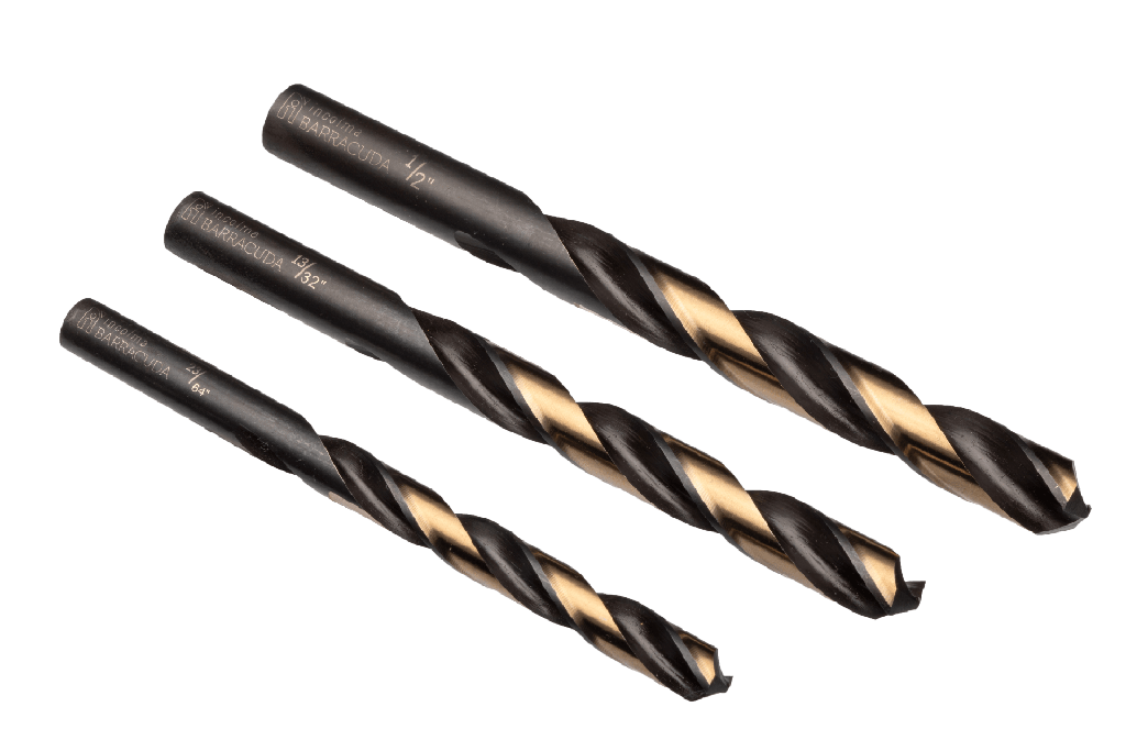 Broca barracuda Incolma