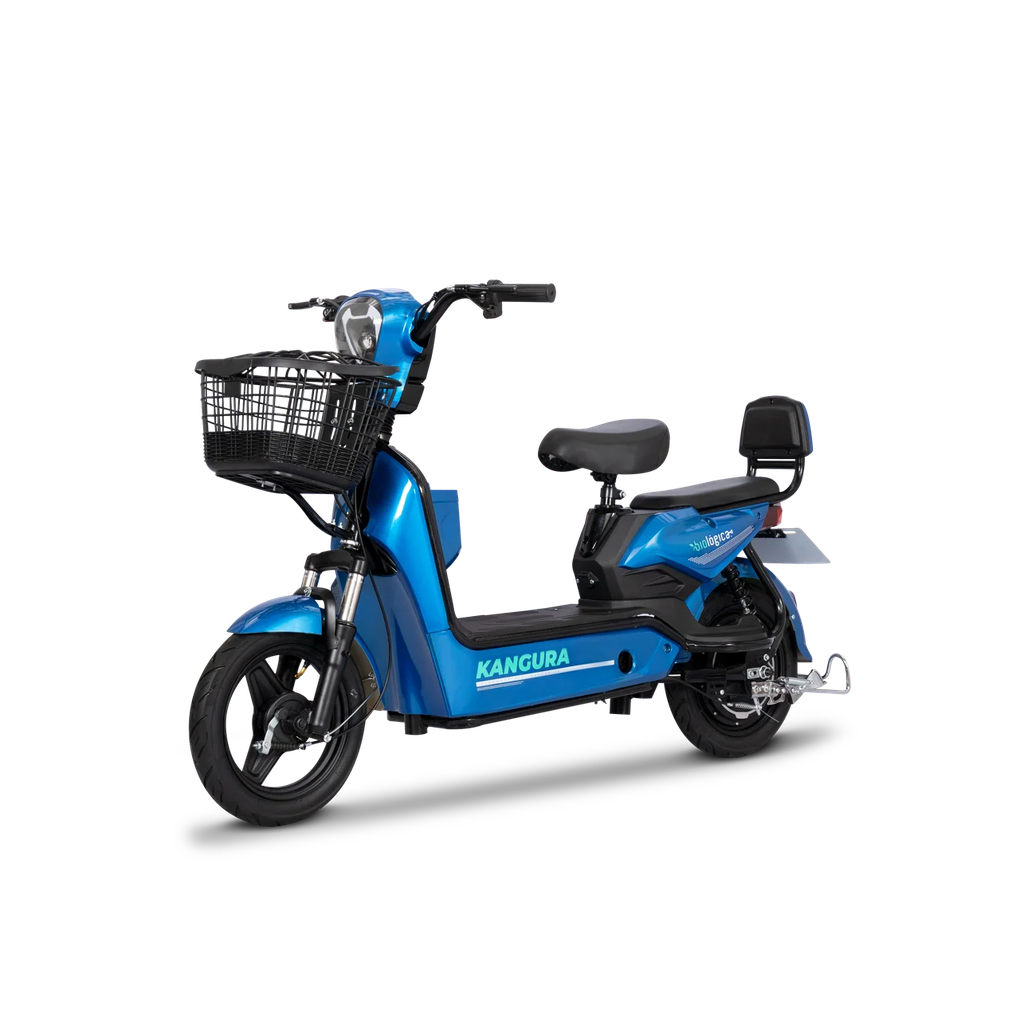 Bicicleta Electrica
