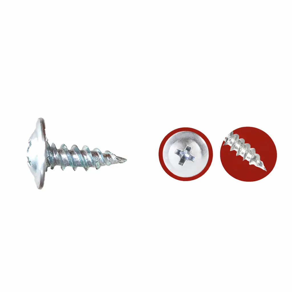 Tornillo Truss Cabeza Extraplana Punta Aguda Zinc #8 Ca Mejia