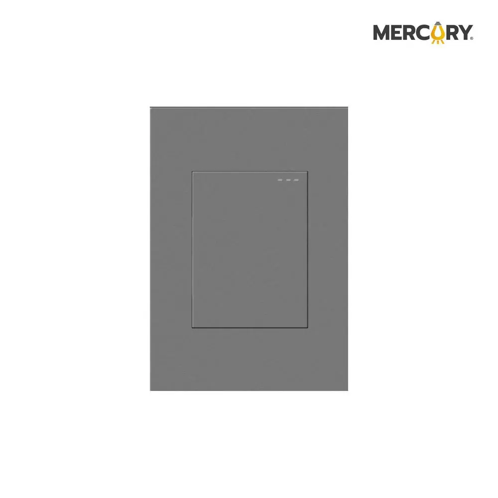Switch Silver Luxury Mercury