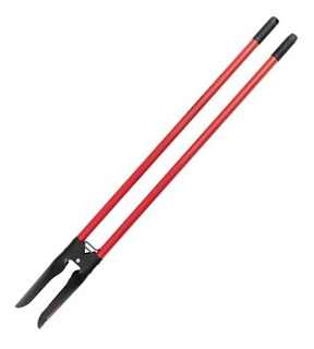 Paladraga Grande Bellota X 4u
