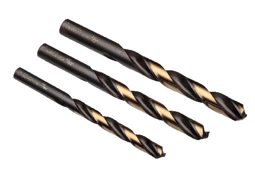 Broca barracuda Incolma