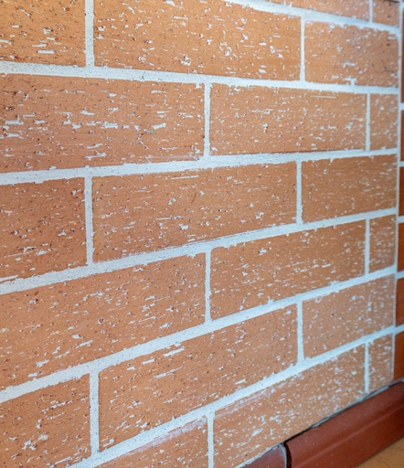 [66584] Fachaleta gres Los Andes