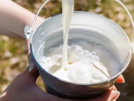 [06000011] Leche Japon
