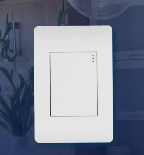 Switch Capri Mercury