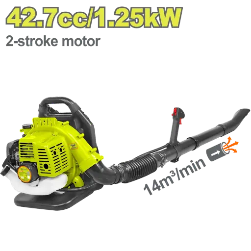 [22927 - DTYQ1A42] Sopladora a Gasolina Dyllu