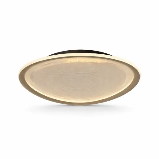 [IDS296] Lampara De Techo 40w Zagreb Mod2 Mercury